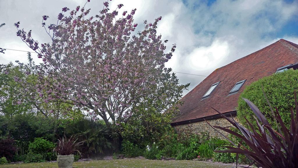 Bed and Breakfast Lockgate Dairy Chichester Exterior foto