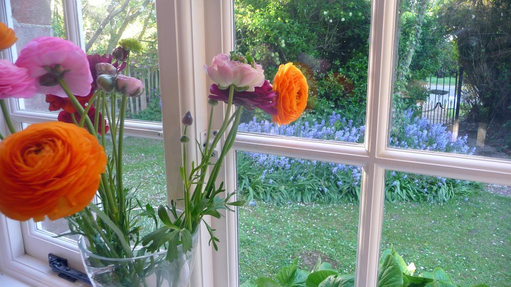 Bed and Breakfast Lockgate Dairy Chichester Exterior foto