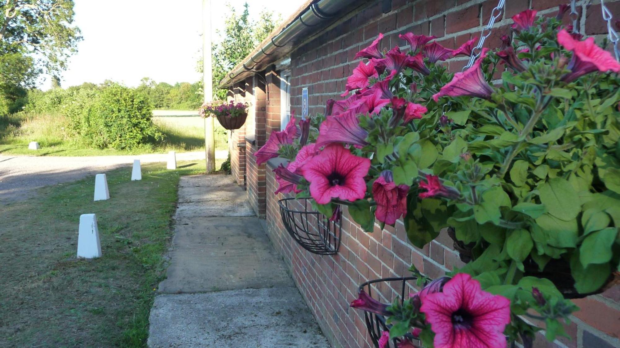 Bed and Breakfast Lockgate Dairy Chichester Exterior foto